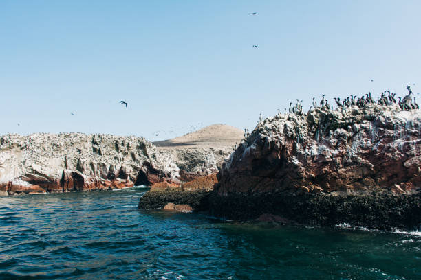 istock Scenic View Of Sea Against Blue Sky 1316756001