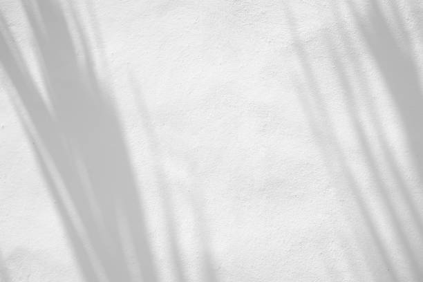 istock Leaves natural shadow overlay on white texture background, for overlay on product presentation, backdrop and mockup, summer seasonal concept 1316760685
