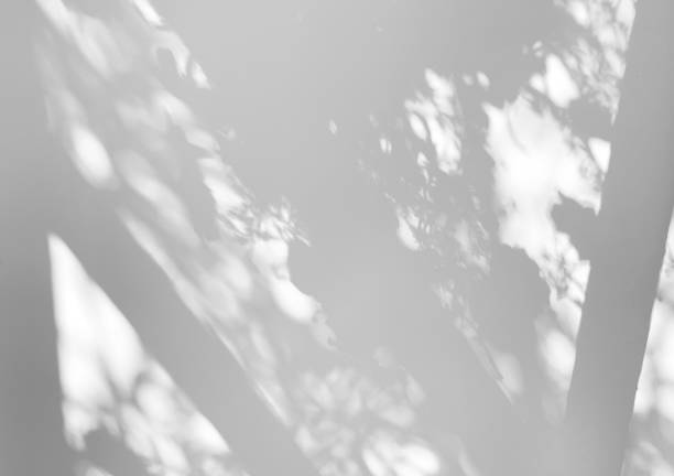 istock Window and leaves natural shadow overlay effect on white texture background, for overlay on product presentation, backdrop and mockup, summer concept 1316760691