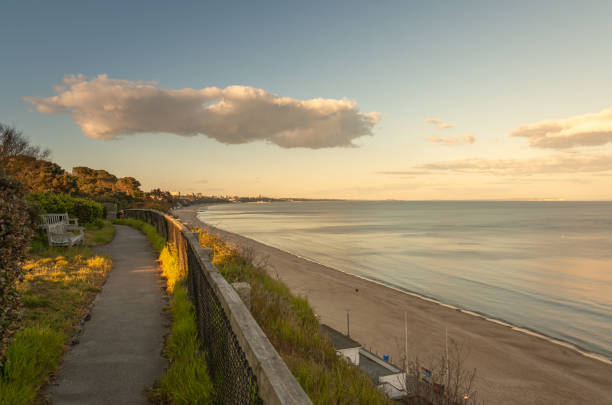 istock Footpath leads to the beach in Bournemouth and Poole 1316765232