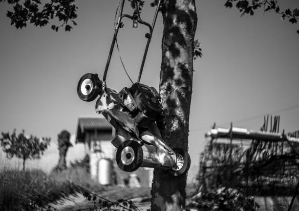 An old grass mower hanged on a tree