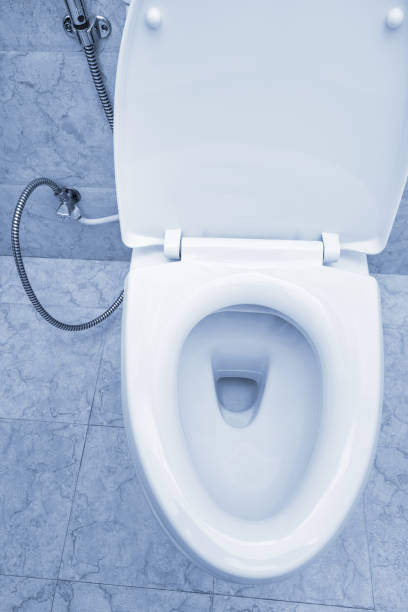 istock White toilet bowl 1316767786