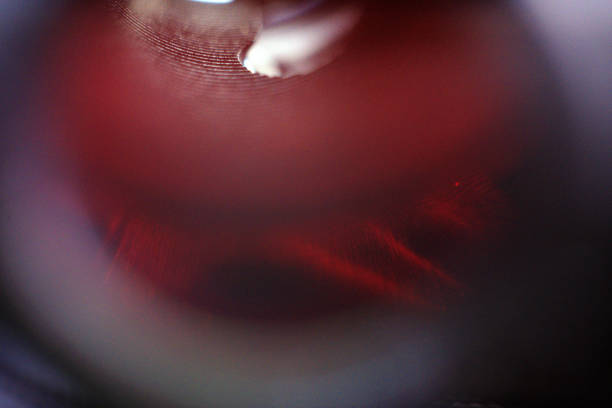 close-up de uma lente de vidro do telescópio de rifle sniper. - lens barrel - fotografias e filmes do acervo