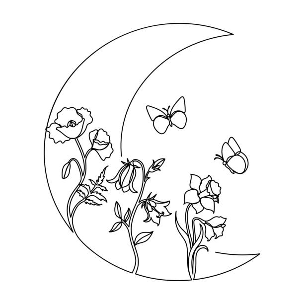 illustrations, cliparts, dessins animés et icônes de wildflower dans un style d’art de ligne dessiné à la main. - daffodil flower silhouette butterfly