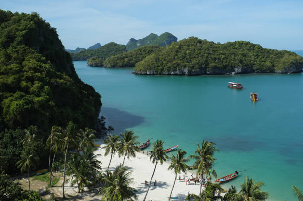 istock paradise beach thailand palm trees 1316771701