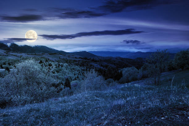 istock rural mountain landscape in spring at night 1316772846
