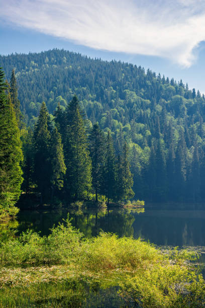 istock landscape with mountain lake in the morning 1316772911