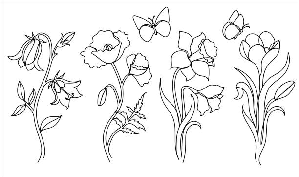 illustrations, cliparts, dessins animés et icônes de wildflower dans un style d’art de ligne dessiné à la main. - daffodil flower silhouette butterfly