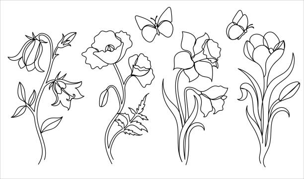 illustrazioni stock, clip art, cartoni animati e icone di tendenza di fiore selvatico in stile artistico linea disegnato a mano. - daffodil flower silhouette butterfly