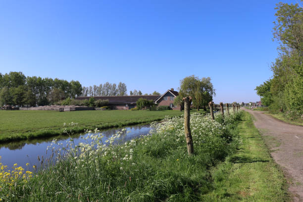 istock Countryside landscape in springtime. Farm near small river. 1316775581