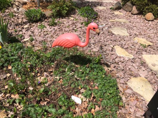 flamant rose de pelouse - plastic flamingo photos et images de collection
