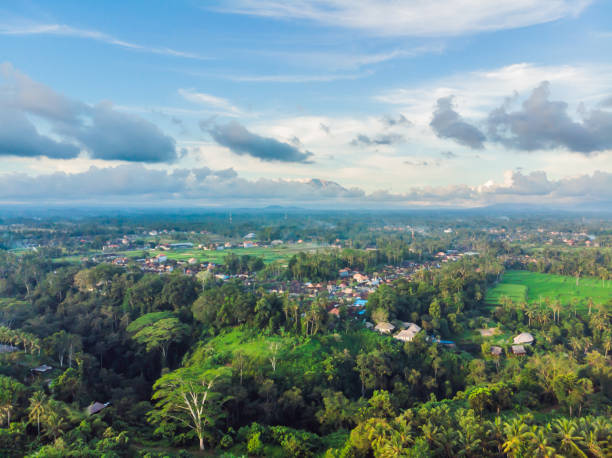 istock Many villas with brown-orange shingle roofs between tropical trees on the sky background in Ubud on Bali. Sun is shining onto them. Aerial horizontal photo 1316778904