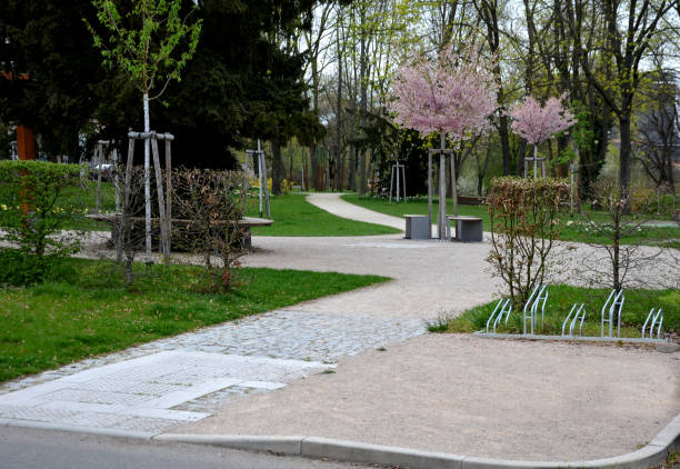 istock A circular lattice in the park protects a tree planted in a path. The grille has three seats with wood paneling. gray metal bench, beige path and lawn 1316780328