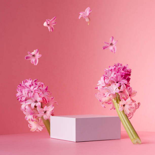 istock Delicate spring mock up for cosmetic and product display with white square podium, tender hyacinth flowers flying as frame on pastel pink background. 1316780537