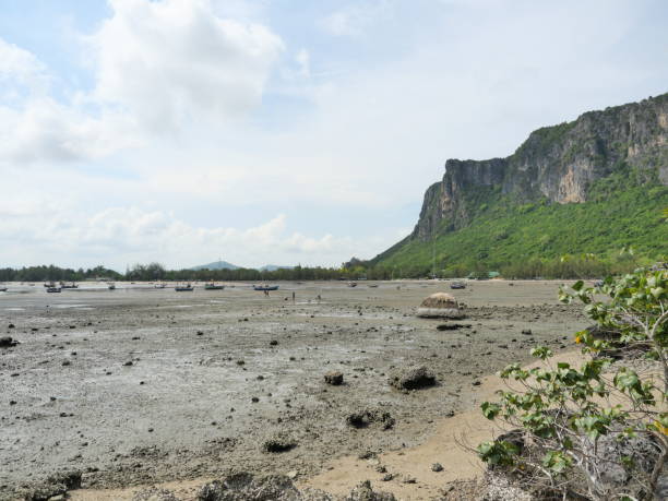 Rocky reefs with sand and mud in water phenomenon at low tide
