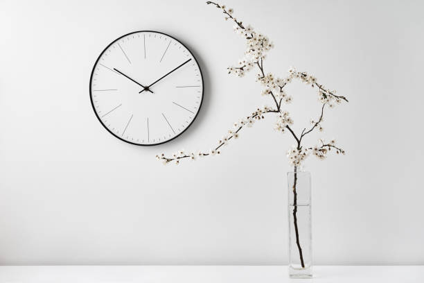 istock Wall clock and plant branch on white background 1316781857