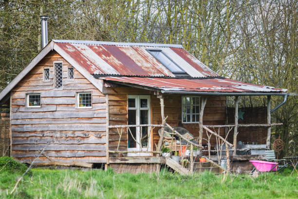 istock An off-grid cabin in Norfolk countryside, England 1316782761