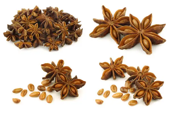 dried star anise  (Illicium verum) on a white background