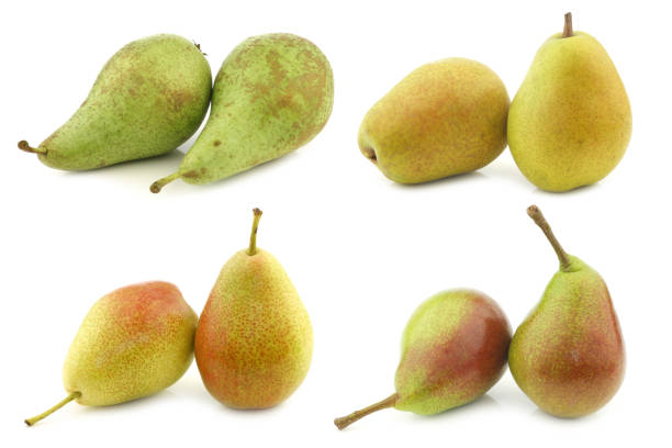 Assortment of different colorful pears Assortment of different colorful pears on a white background forelle pear stock pictures, royalty-free photos & images