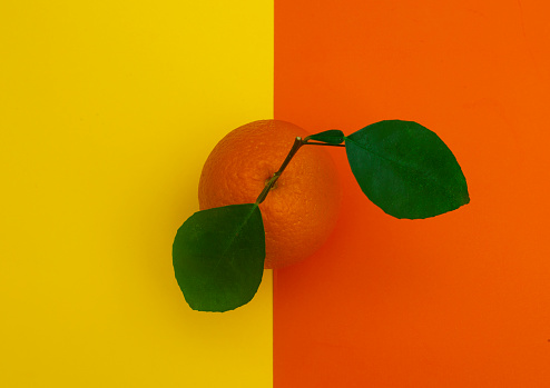 Orange on yellow and orange  paper background, minimalist still life stock photo.