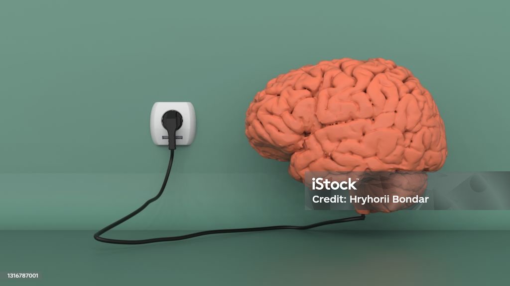 Human brain concept idea 3d image Human brain charging near the blue wall by the plug with cable connectd to the socket 3d render image Electric Plug Stock Photo