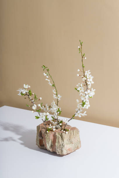 istock stone and flowering branches - creative spring still life with hard shadows 1316789020
