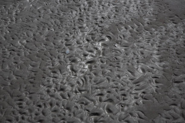 Wavelets formed on the sand and silty-clay shore. Pattern. Brown and gold colors. Sand patterns on the beach at low tide.