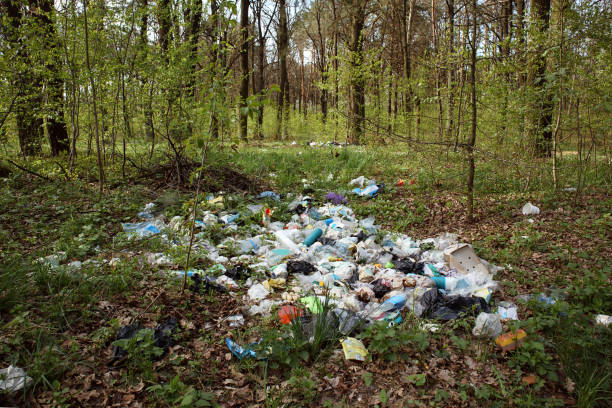 istock Pile of garbage in the forest, ecology disaster. 1316789937