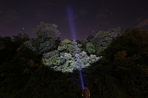 A man is holding torch light during late night.