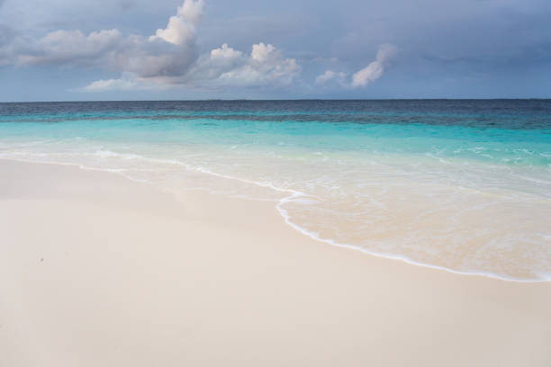 istock White sand, turquoise blue sea 1316793265
