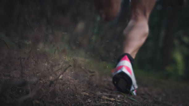A triathlete nears the finish line in a running race