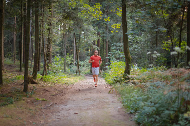 istock Back view of man running along a forest 1316794881