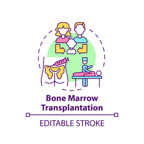 Bone marrow transplantation concept icon Bone marrow transplantation concept icon. Donor from family for surgical procedure. Genetic disease idea thin line illustration. Vector isolated outline RGB color drawing. Editable stroke femur bone anatomy drawing stock illustrations
