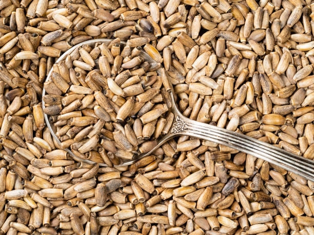 istock top view of silver spoon in milk thistle seeds 1316801031