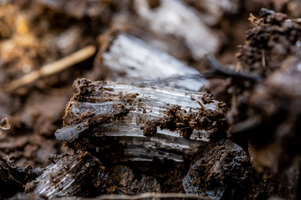 istock Layers of Mud And Needle Ice 1316802748