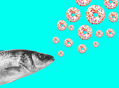 Contemporary art collage, modern design. Summer mood. Fresh fish and donuts on neon blue background