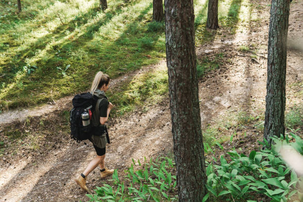 istock Female hiker with big backpack in green forest 1316805465
