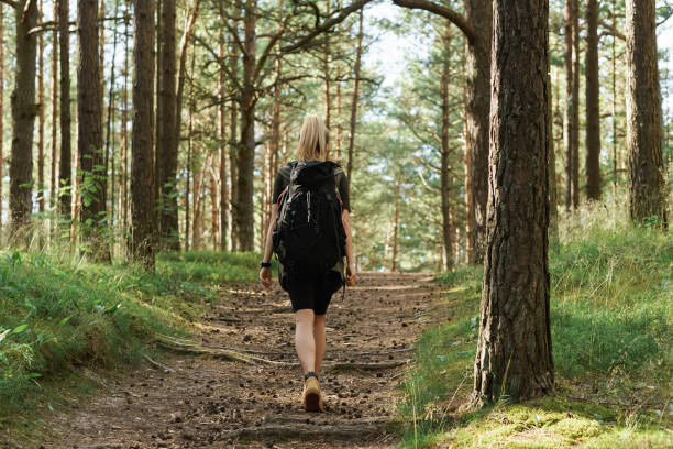 istock Female hiker with big backpack in green forest 1316805496