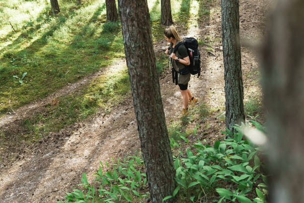 istock Female hiker with big backpack in green forest 1316805509