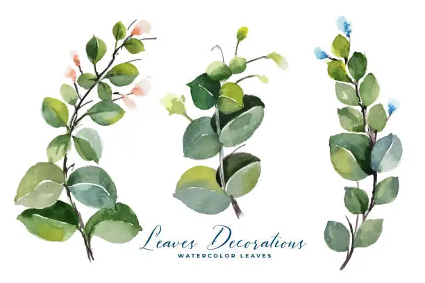 Vector illustration of watercolor green leaves bouquet collection