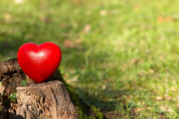 istock Red heart in the field 1316808977