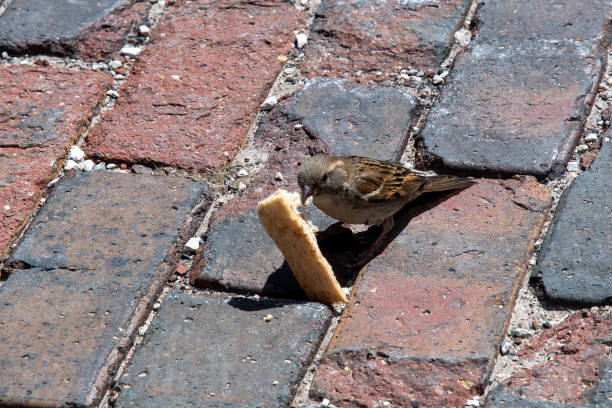 Taken in the Distillery District, Toronto, Canada