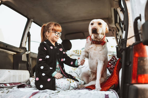 istock Female Child Making Handshake With Cute Dog In Minivan Back 1316814437
