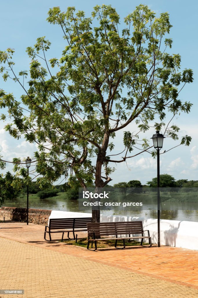 View of the Magdalena river in the Albarrada street. Mompox, Bolivar, Colombia. This street hugs the Magdalena River. It is one of the few cool places in Mompox, because, being a depression, below sea level Arbol Stock Photo