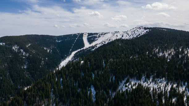 istock Aerial view at slope on ski resort. 1316819490