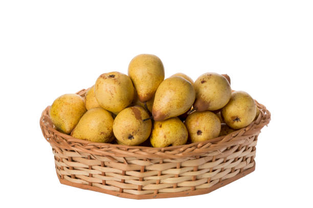 Portuguese pears in wicker basket on isolated white background.
