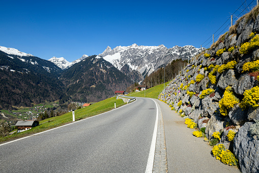 Winding mountain road with a blooming wall on the right side