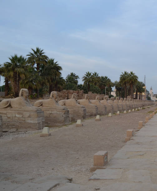 istock Sphinx Road, Luxor Temple, Luxor Governorate, Egypt 1316824466