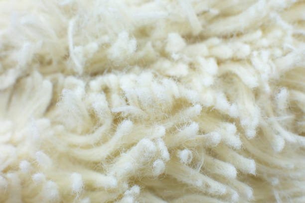 istock White cotton towel or carpet fluffy texture background. Close up, macro photo. Soft focus image. 1316827965