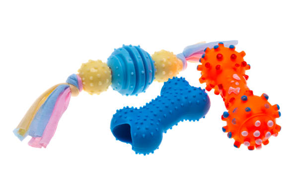istock toys for dogs isolated 1316829145